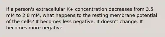 If a person's extracellular K+ concentration decreases from 3.5 mM to 2.8 mM, what happens to the resting membrane potential of the cells? It becomes less negative. It doesn't change. It becomes more negative.