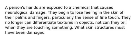 A person's hands are exposed to a chemical that causes neurological damage. They begin to lose feeling in the skin of their palms and fingers, particularly the sense of fine touch. They no longer can differentiate textures in objects, not can they tell when they are touching something. What skin structures must have been damaged