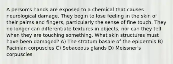 A person's hands are exposed to a chemical that causes neurological damage. They begin to lose feeling in the skin of their palms and fingers, particularly the sense of fine touch. They no longer can differentiate textures in objects, nor can they tell when they are touching something. What skin structures must have been damaged? A) The stratum basale of the epidermis B) Pacinian corpuscles C) Sebaceous glands D) Meissner's corpuscles