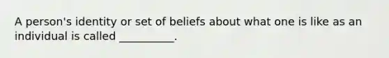 A person's identity or set of beliefs about what one is like as an individual is called __________.