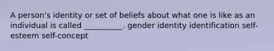 A person's identity or set of beliefs about what one is like as an individual is called __________. gender identity identification self-esteem self-concept