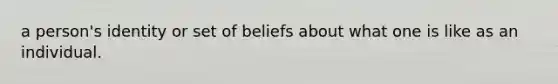 a person's identity or set of beliefs about what one is like as an individual.