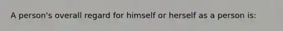 A person's overall regard for himself or herself as a person is: