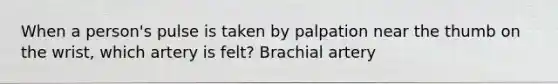 When a person's pulse is taken by palpation near the thumb on the wrist, which artery is felt? Brachial artery