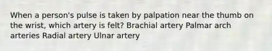 When a person's pulse is taken by palpation near the thumb on the wrist, which artery is felt? Brachial artery Palmar arch arteries Radial artery Ulnar artery