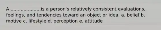 A .....................is a person's relatively consistent evaluations, feelings, and tendencies toward an object or idea. a. belief b. motive c. lifestyle d. perception e. attitude