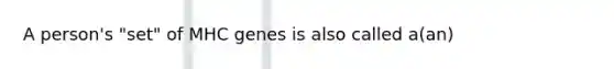 A person's "set" of MHC genes is also called a(an)