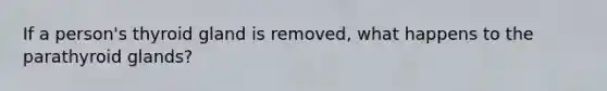 If a person's thyroid gland is removed, what happens to the parathyroid glands?