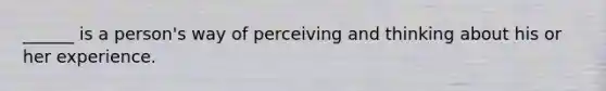 ______ is a person's way of perceiving and thinking about his or her experience.