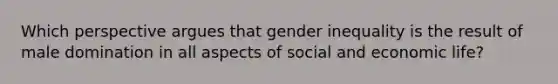 Which perspective argues that gender inequality is the result of male domination in all aspects of social and economic life?