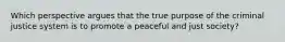 Which perspective argues that the true purpose of the criminal justice system is to promote a peaceful and just society?​