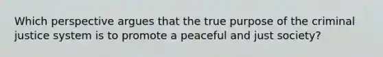 Which perspective argues that the true purpose of the criminal justice system is to promote a peaceful and just society?​