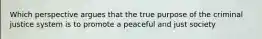 Which perspective argues that the true purpose of the criminal justice system is to promote a peaceful and just society