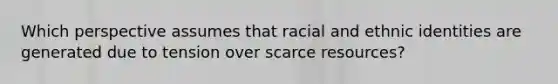 Which perspective assumes that racial and ethnic identities are generated due to tension over scarce resources?