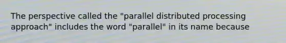 The perspective called the "parallel distributed processing approach" includes the word "parallel" in its name because