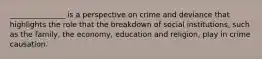 _______________ is a perspective on crime and deviance that highlights the role that the breakdown of social institutions, such as the family, the economy, education and religion, play in crime causation.