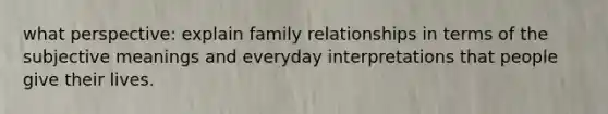 what perspective: explain family relationships in terms of the subjective meanings and everyday interpretations that people give their lives.