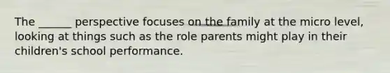 The ______ perspective focuses on the family at the micro level, looking at things such as the role parents might play in their children's school performance.