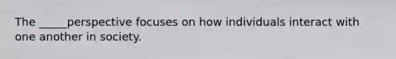 The _____perspective focuses on how individuals interact with one another in society.