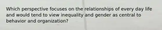 Which perspective focuses on the relationships of every day life and would tend to view inequality and gender as central to behavior and organization?