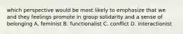 which perspective would be most likely to emphasize that we and they feelings promote in group solidarity and a sense of belonging A. feminist B. functionalist C. conflict D. interactionist