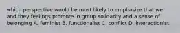 which perspective would be most likely to emphasize that we and they feelings promote in group solidarity and a sense of belonging A. feminist B. functionalist C. conflict D. interactionist