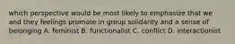 which perspective would be most likely to emphasize that we and they feelings promote in group solidarity and a sense of belonging A. feminist B. functionalist C. conflict D. interactionist