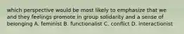 which perspective would be most likely to emphasize that we and they feelings promote in group solidarity and a sense of belonging A. feminist B. functionalist C. conflict D. interactionist