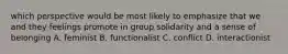 which perspective would be most likely to emphasize that we and they feelings promote in group solidarity and a sense of belonging A. feminist B. functionalist C. conflict D. interactionist