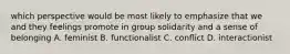 which perspective would be most likely to emphasize that we and they feelings promote in group solidarity and a sense of belonging A. feminist B. functionalist C. conflict D. interactionist