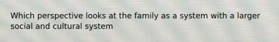 Which perspective looks at the family as a system with a larger social and cultural system