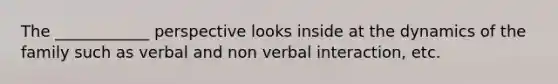 The ____________ perspective looks inside at the dynamics of the family such as verbal and non verbal interaction, etc.