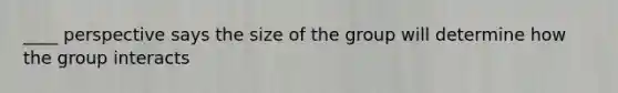 ____ perspective says the size of the group will determine how the group interacts