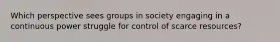 Which perspective sees groups in society engaging in a continuous power struggle for control of scarce resources?