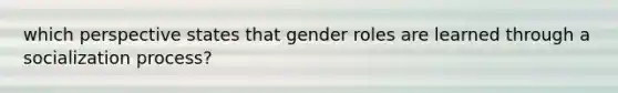 which perspective states that gender roles are learned through a socialization process?