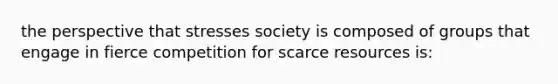 the perspective that stresses society is composed of groups that engage in fierce competition for scarce resources is: