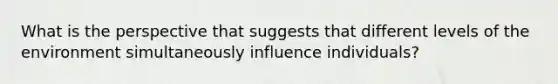 What is the perspective that suggests that different levels of the environment simultaneously influence individuals?