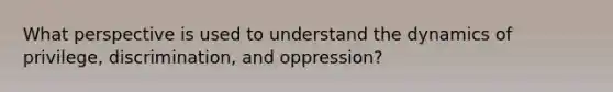 What perspective is used to understand the dynamics of privilege, discrimination, and oppression?