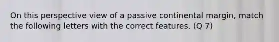 On this perspective view of a passive continental margin, match the following letters with the correct features. (Q 7)