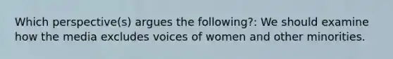 Which perspective(s) argues the following?: We should examine how the media excludes voices of women and other minorities.