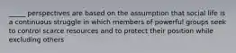 _____ perspectives are based on the assumption that social life is a continuous struggle in which members of powerful groups seek to control scarce resources and to protect their position while excluding others