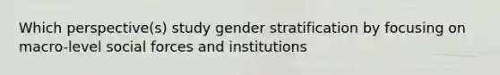 Which perspective(s) study gender stratification by focusing on macro-level social forces and institutions