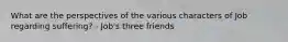 What are the perspectives of the various characters of Job regarding suffering? - Job's three friends