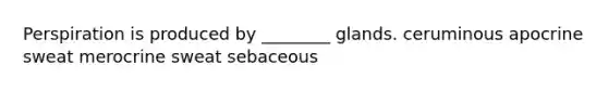 Perspiration is produced by ________ glands. ceruminous apocrine sweat merocrine sweat sebaceous