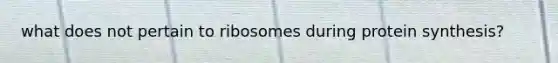 what does not pertain to ribosomes during protein synthesis?