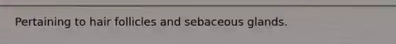 Pertaining to hair follicles and sebaceous glands.