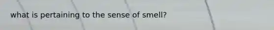 what is pertaining to the sense of smell?