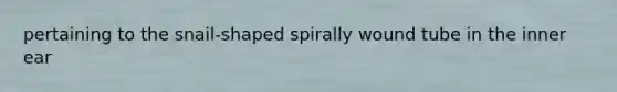 pertaining to the snail-shaped spirally wound tube in the inner ear