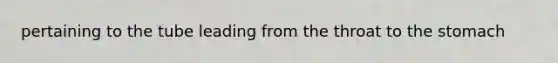pertaining to the tube leading from the throat to the stomach