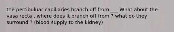 the pertibuluar capillaries branch off from ___ What about the vasa recta , where does it branch off from ? what do they surround ? (blood supply to the kidney)